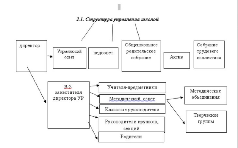 Структурные подразделения в школе отсутствуют.